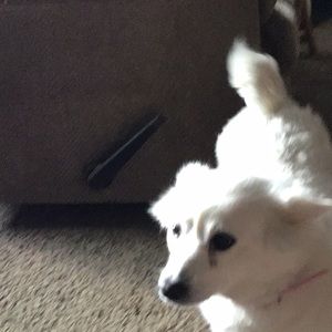 Meet your Posher, Paula.